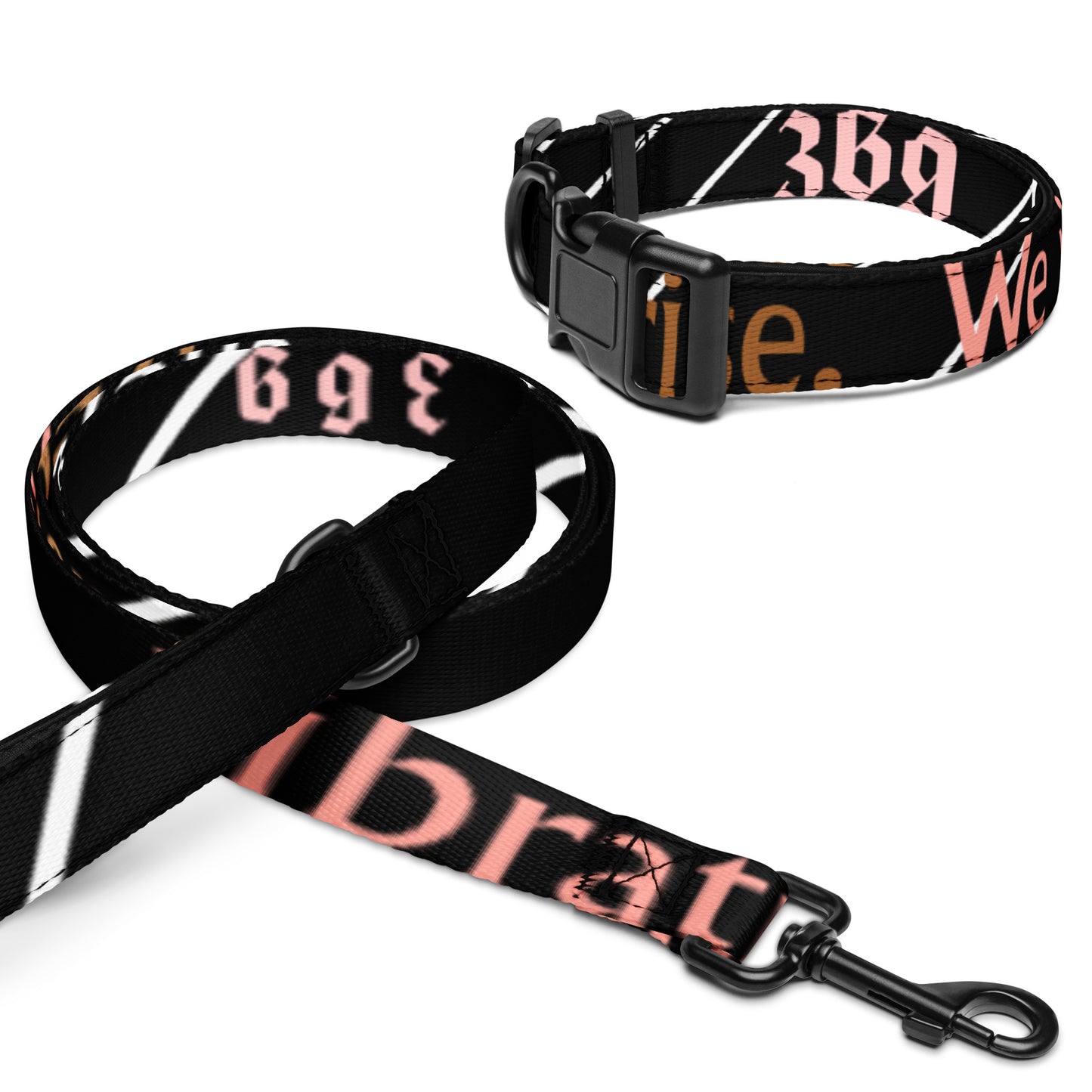 Pet collar & leash female