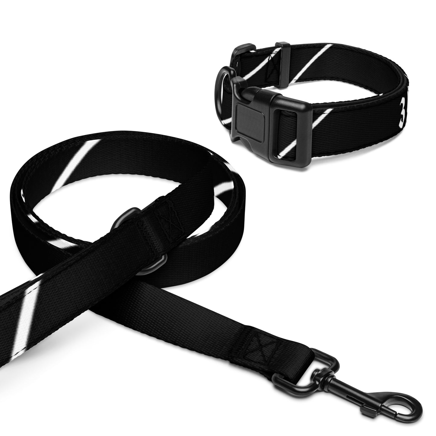 Pet collar & leash