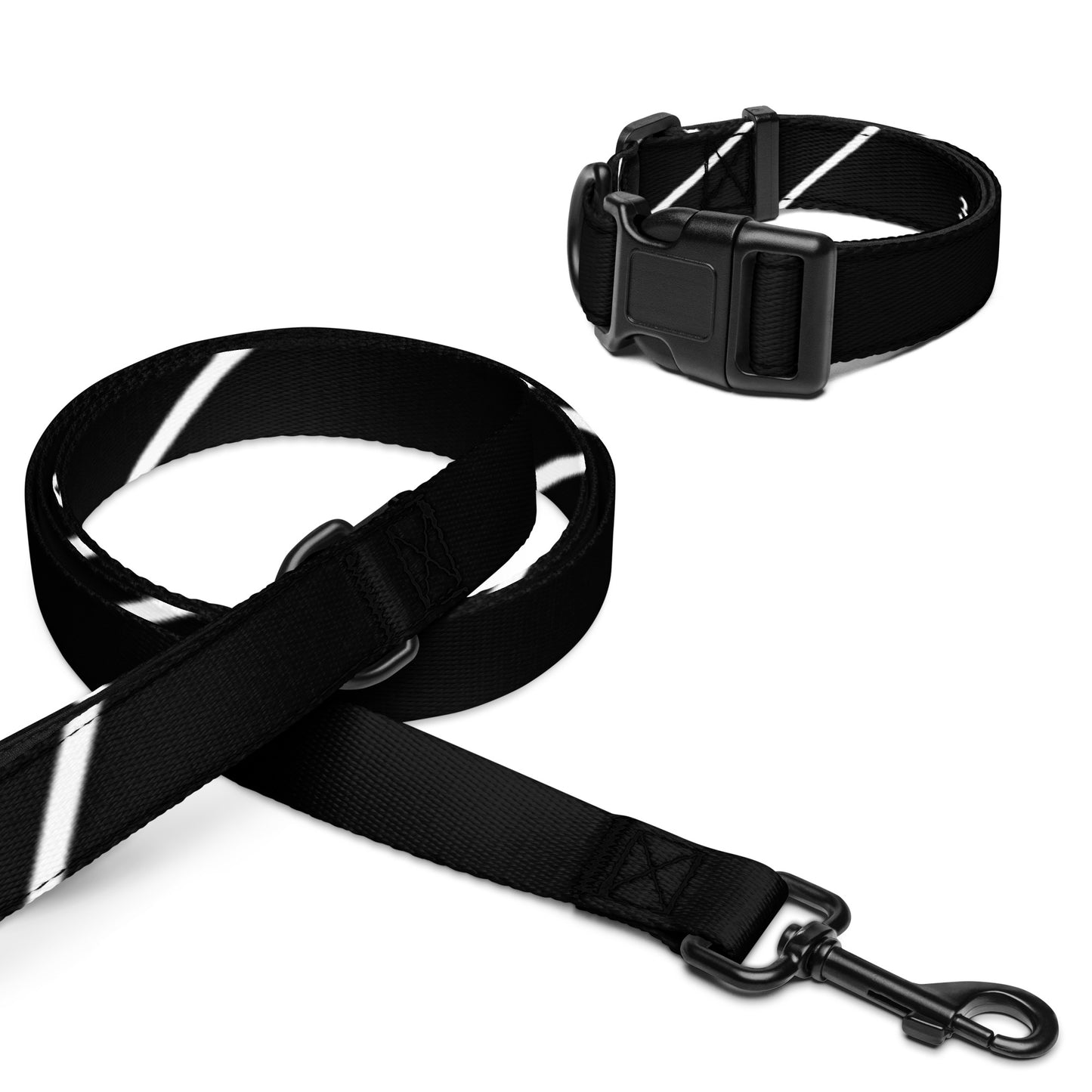 Pet collar & leash