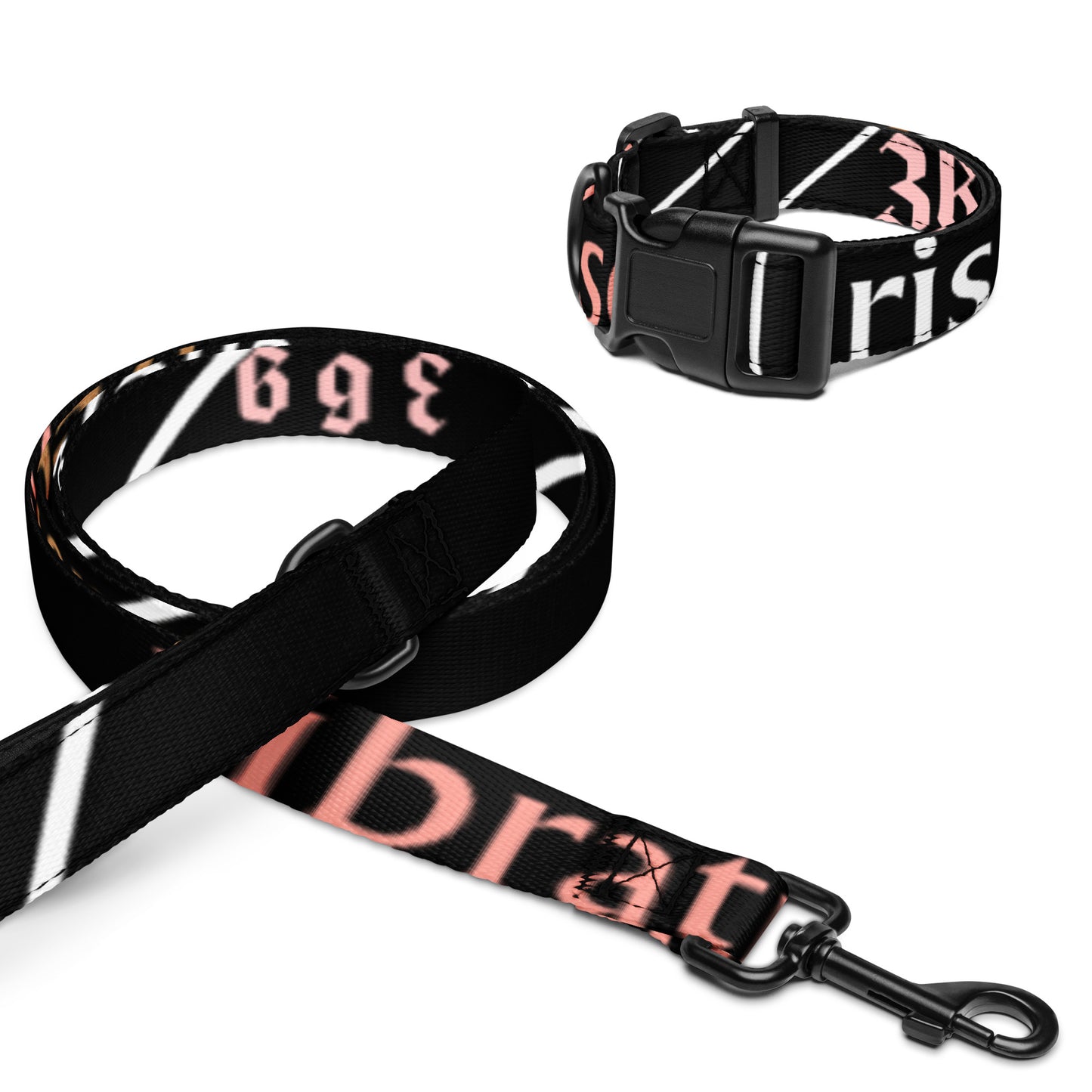 Pet collar & leash female